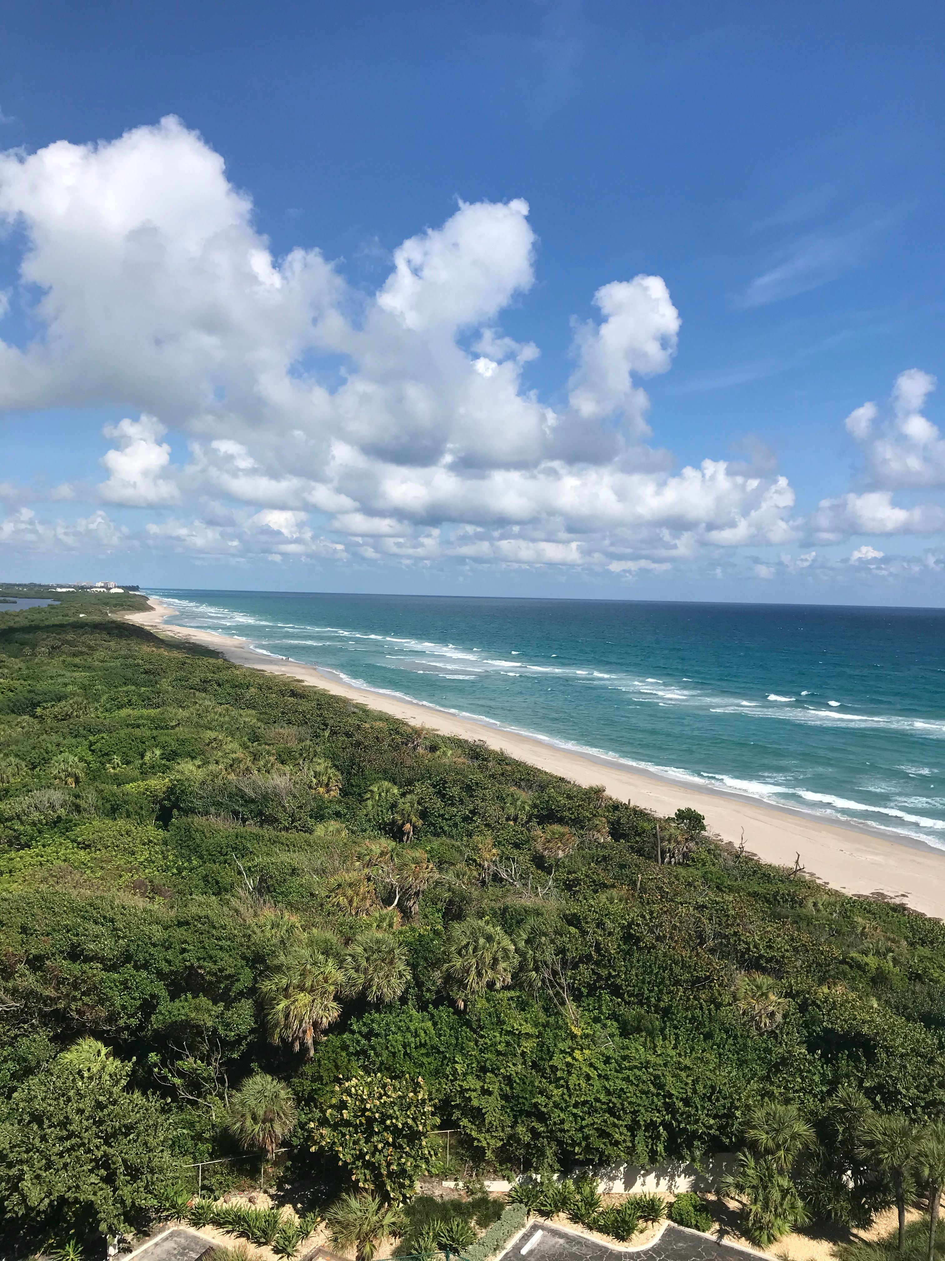 Scenic View of a White Sand Beach Under Blue Cloudy Sky · Free Stock Photo