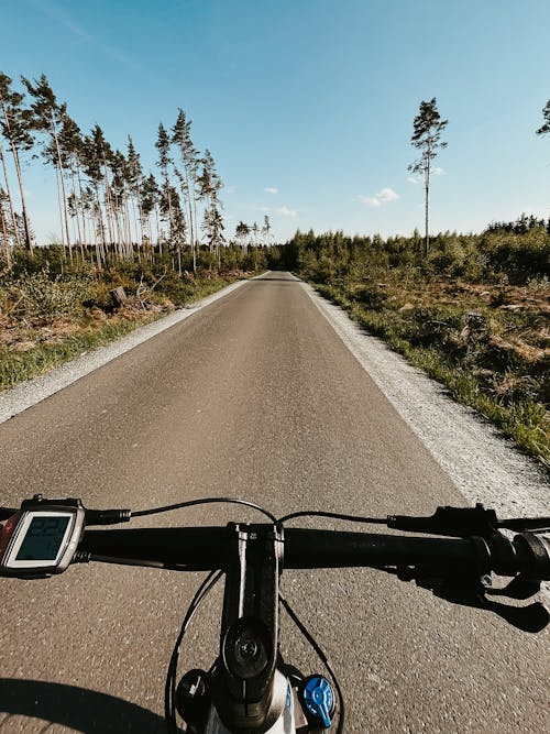 Безкоштовне стокове фото на тему «велосипед, дерева, дорога»