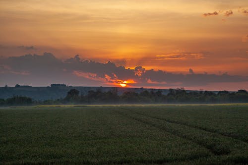 Free stock photo of fields, morning light, morning sun