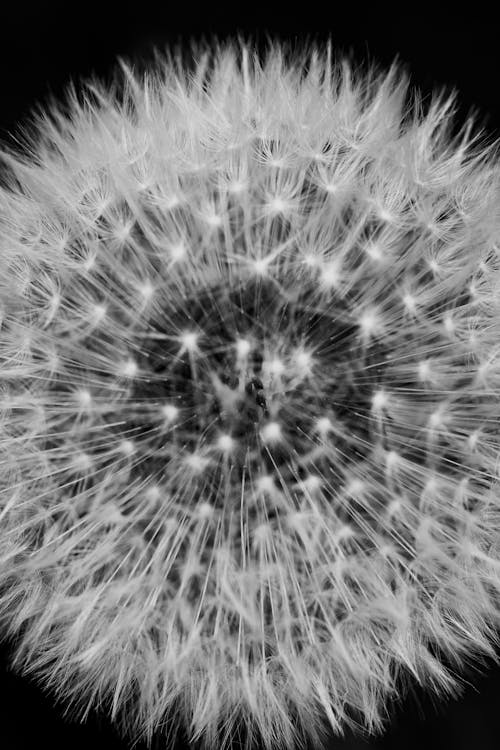Free Immagine gratuita di arte, astratto, bellissimo Stock Photo