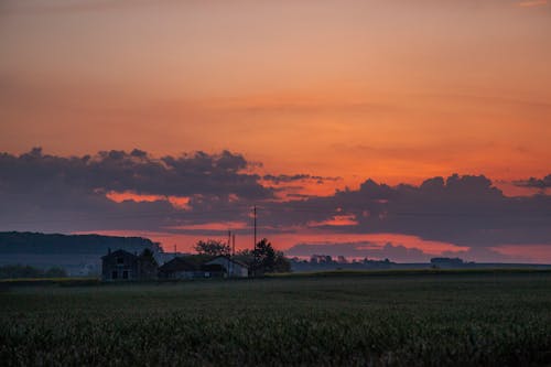 Free stock photo of fields, morning light, morning sun