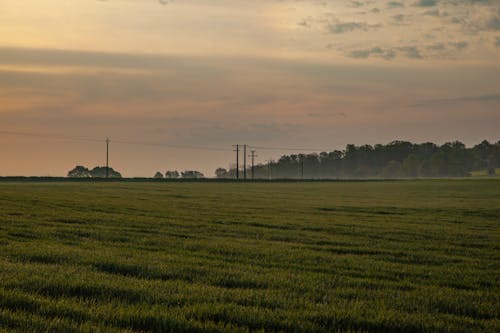 Free stock photo of fields, morning light, morning sun
