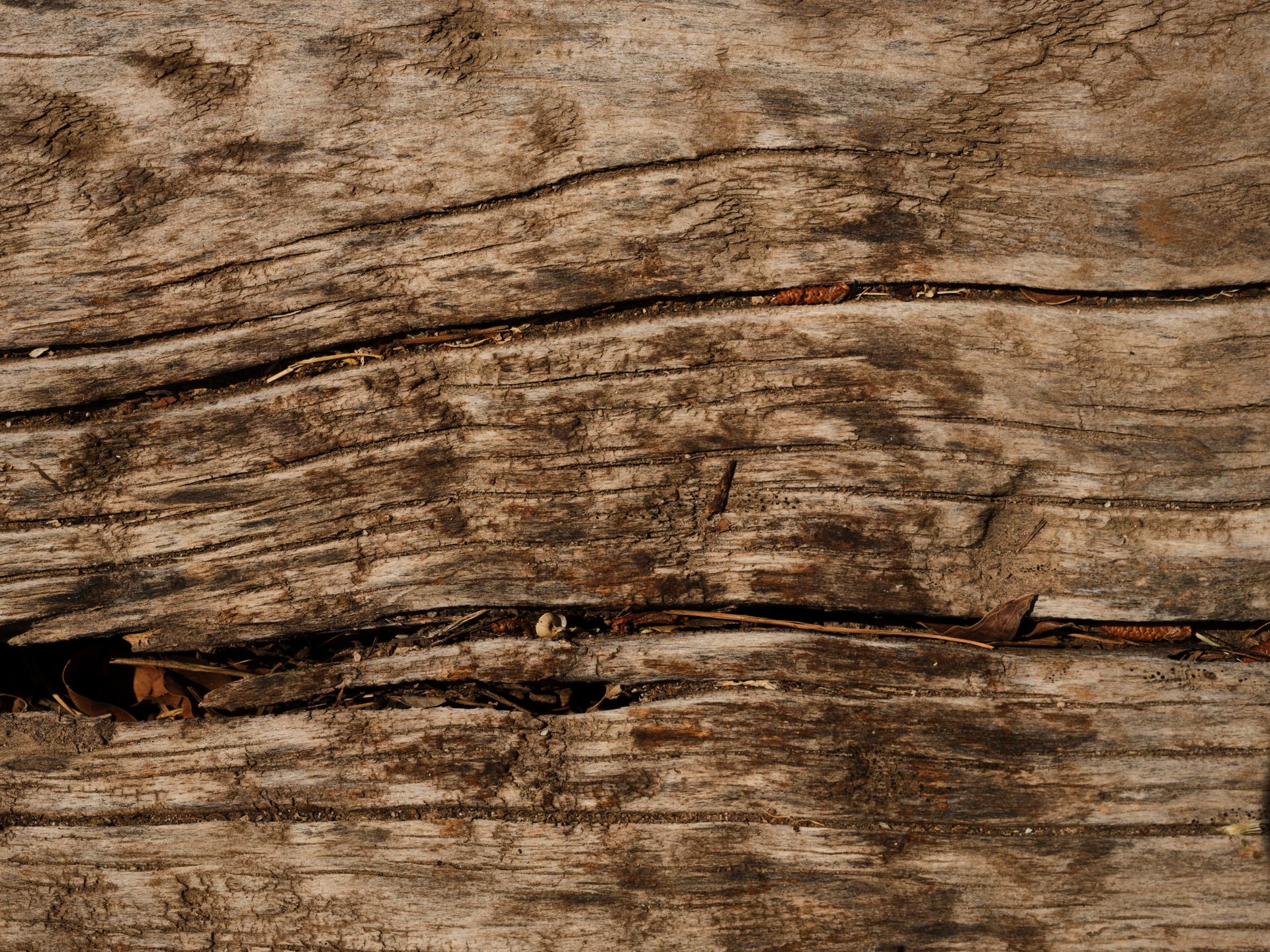 Close-up of a rustic weathered wooden surface with natural cracks and textures.