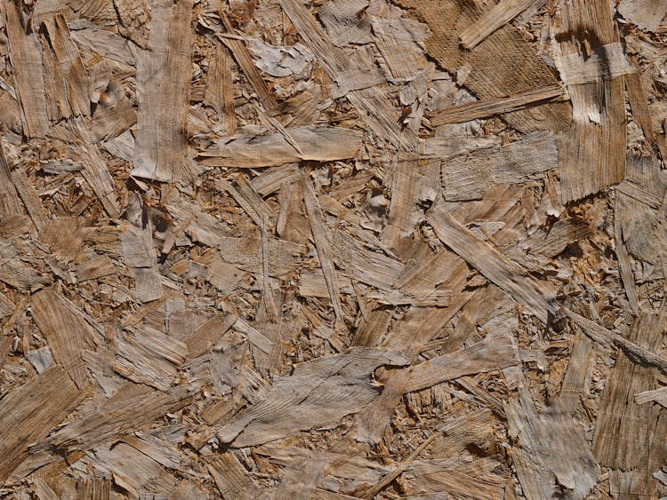 Recycled Wood Texture In Close Up View