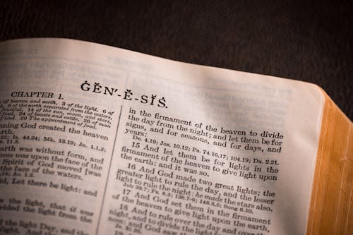 Gratis lagerfoto af Bibel, genesis