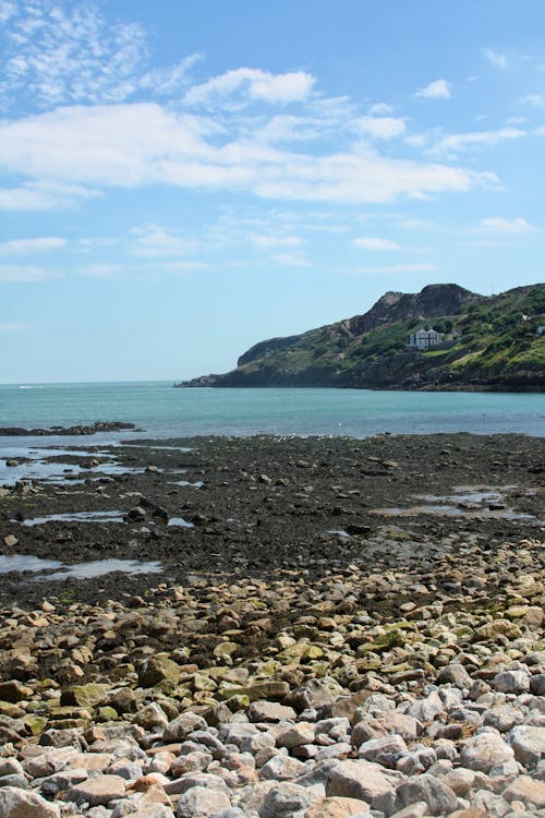 คลังภาพถ่ายฟรี ของ กลางแจ้ง, คลื่น, ชายหาด