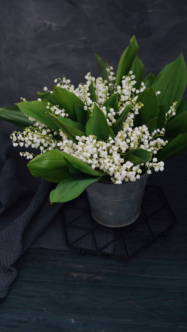 Bouquet Of Lily Of The Valley In A Bucket