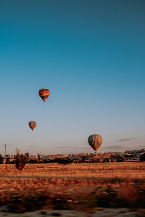 Free Hot Air Balloons Flying over the Grass Field Stock Photo