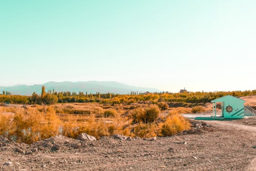 Foto d'estoc gratuïta de camí de carro, camp d'herba, muntanya