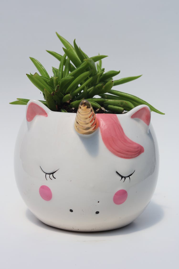 White Unicorn Ceramic Pot With Green Plant 