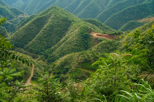 Free A stunning aerial view of lush green mountains and winding paths. Stock Photo