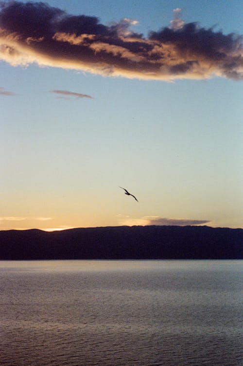 Immagine gratuita di acqua, cielo, crepuscolo