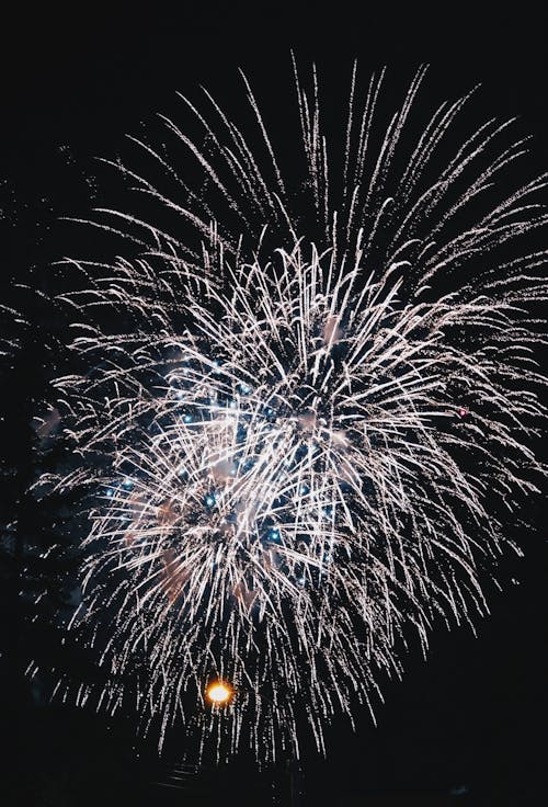 Fireworks Display during Nighttime