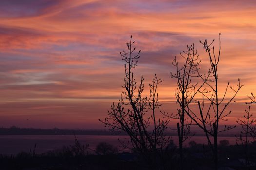 Silhouetted trees against a dramatic orange sunset sky over the countryside.