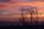 dawn
