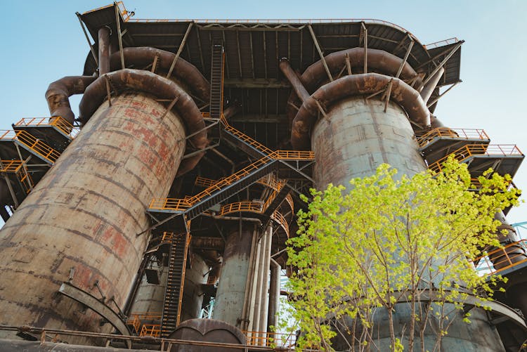 Tree Outside An Abandoned Factory