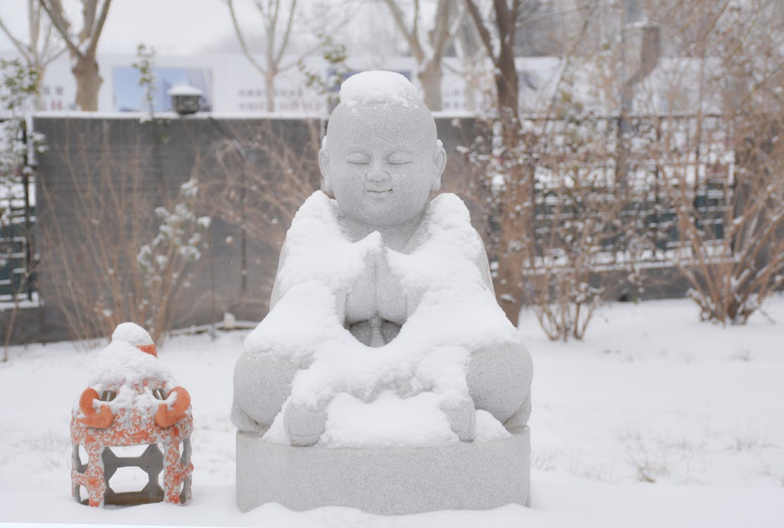 Kostnadsfri bild av buddha, kall, konst