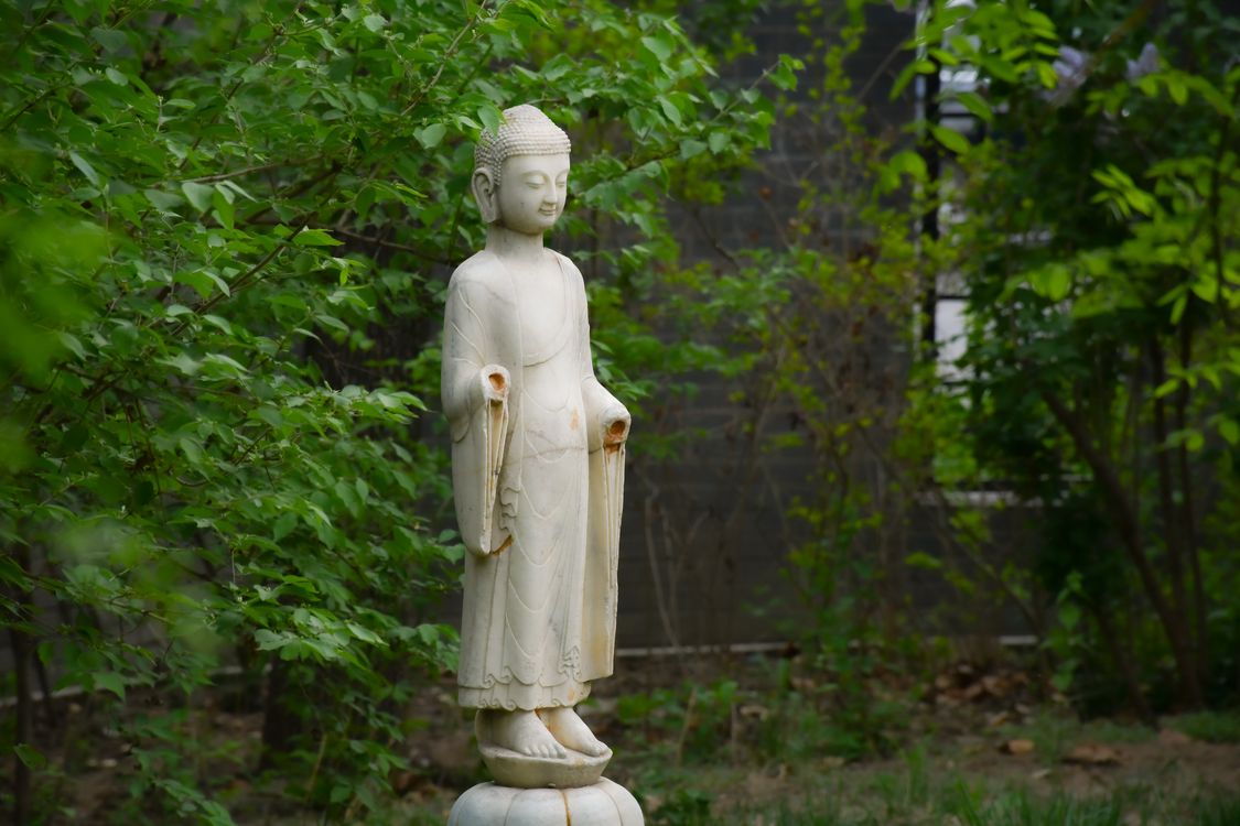 Buddha Statue in a Garden · Free Stock Photo