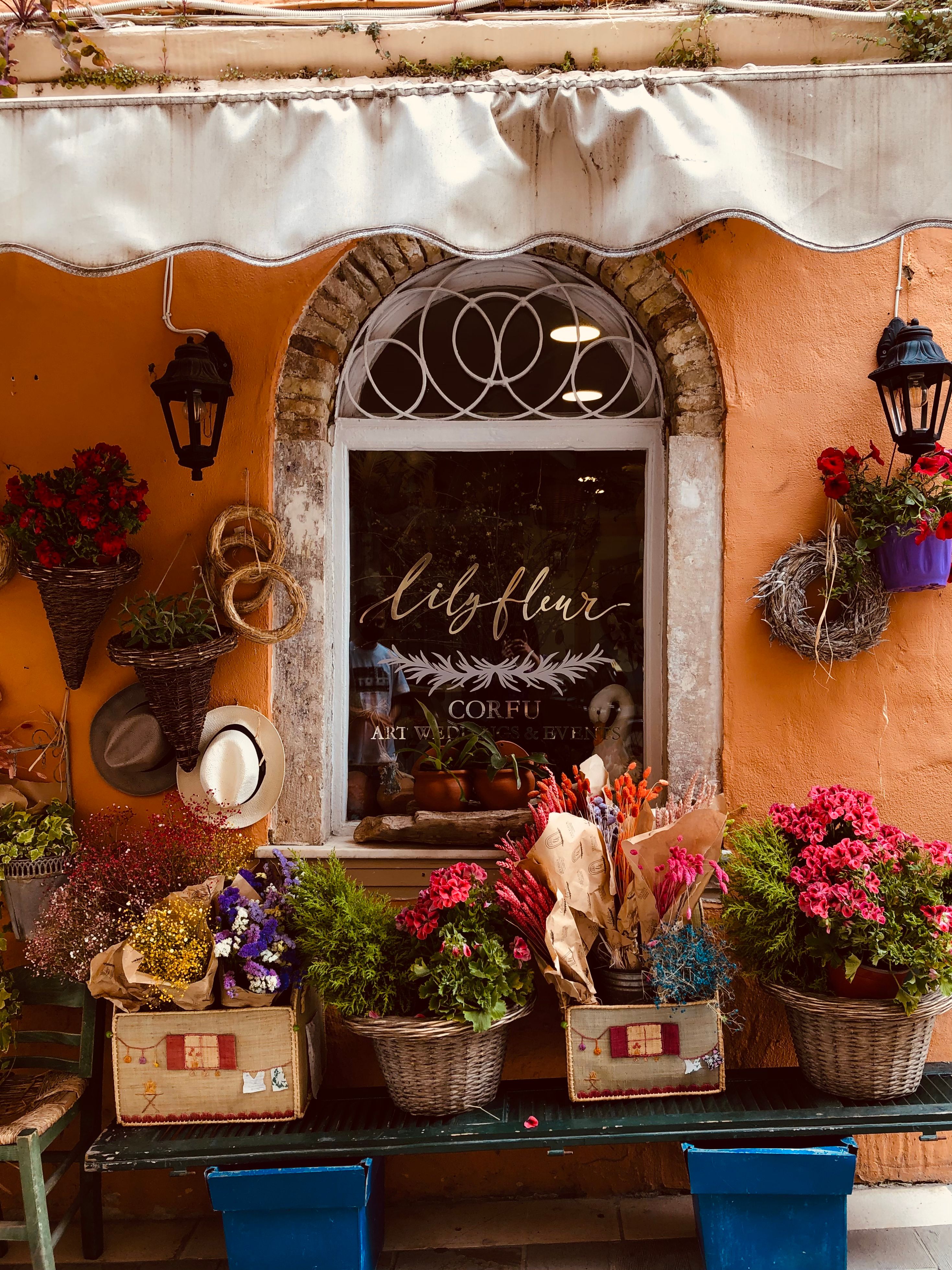 Colorful Flowers around Window · Free Stock Photo