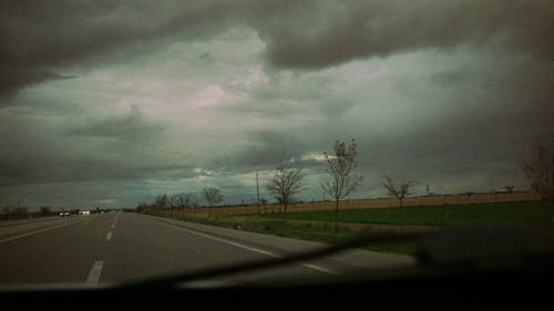 Foto profissional grátis de acostamento, árvore, campo de centeio