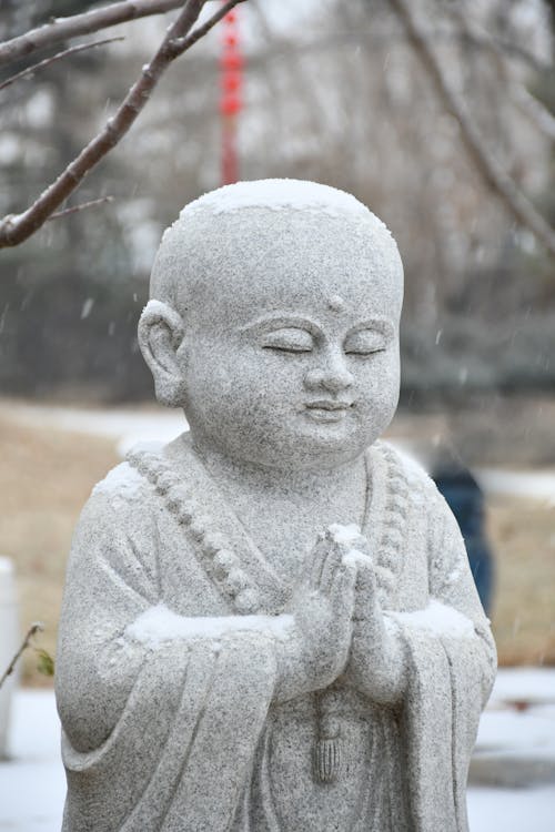 Immagine gratuita di avvicinamento, Buddismo, focus selettivo