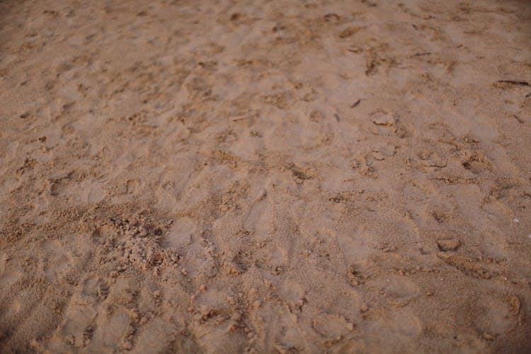 Brown Sand Texture