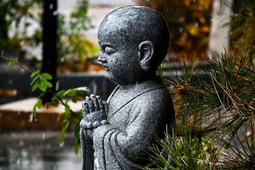 Bahçe, Buda, dua eden içeren Ücretsiz stok fotoğraf