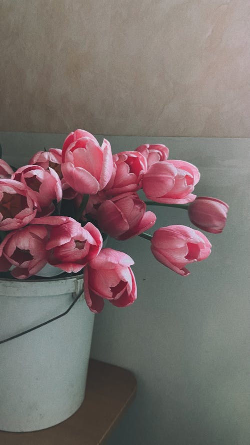 Tulips in a Bucket 
