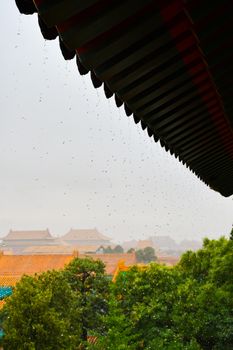 A view of temple rooftops in the rain, showcasing traditional architecture and lush greenery.