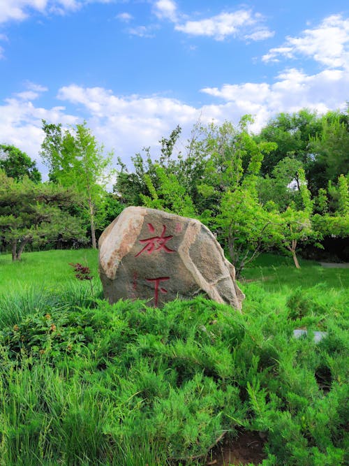 Безкоштовне стокове фото на тему «дерева, камінь, Китай» стокове фото