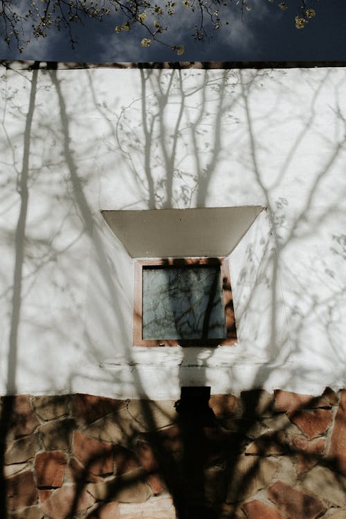 Shadow of Tree on White Wall with Wooden Framed Glass Window · Free ...