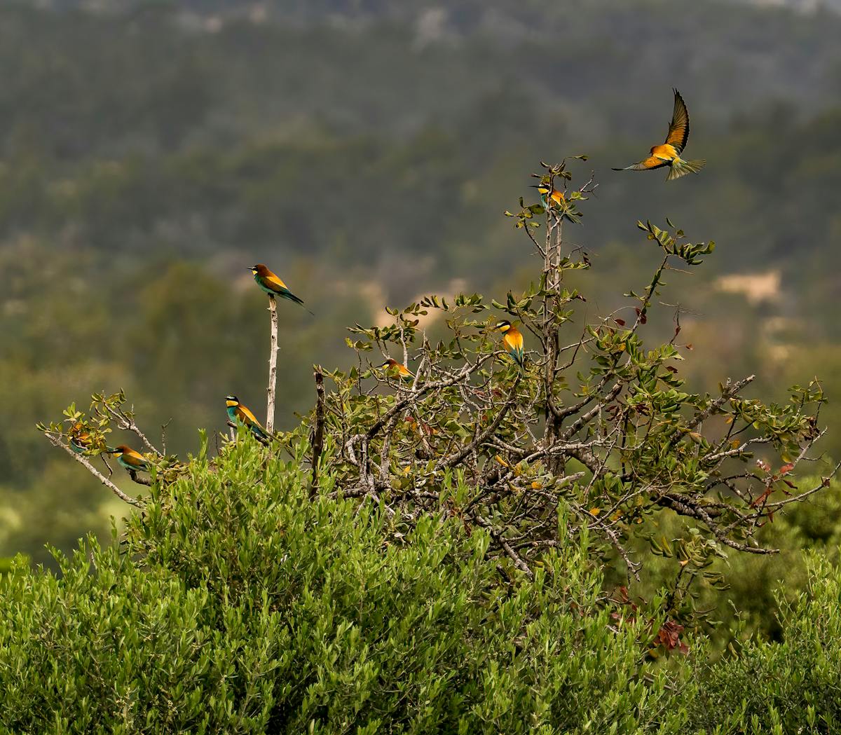 Cava Group's 26% Stock Surge: What's Behind the Mediterranean Boom?