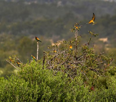 Cava Group's 26% Stock Surge: What's Behind the Mediterranean Boom?