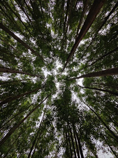 Shashank Sharma 写真 Shashank Sharma 写真
