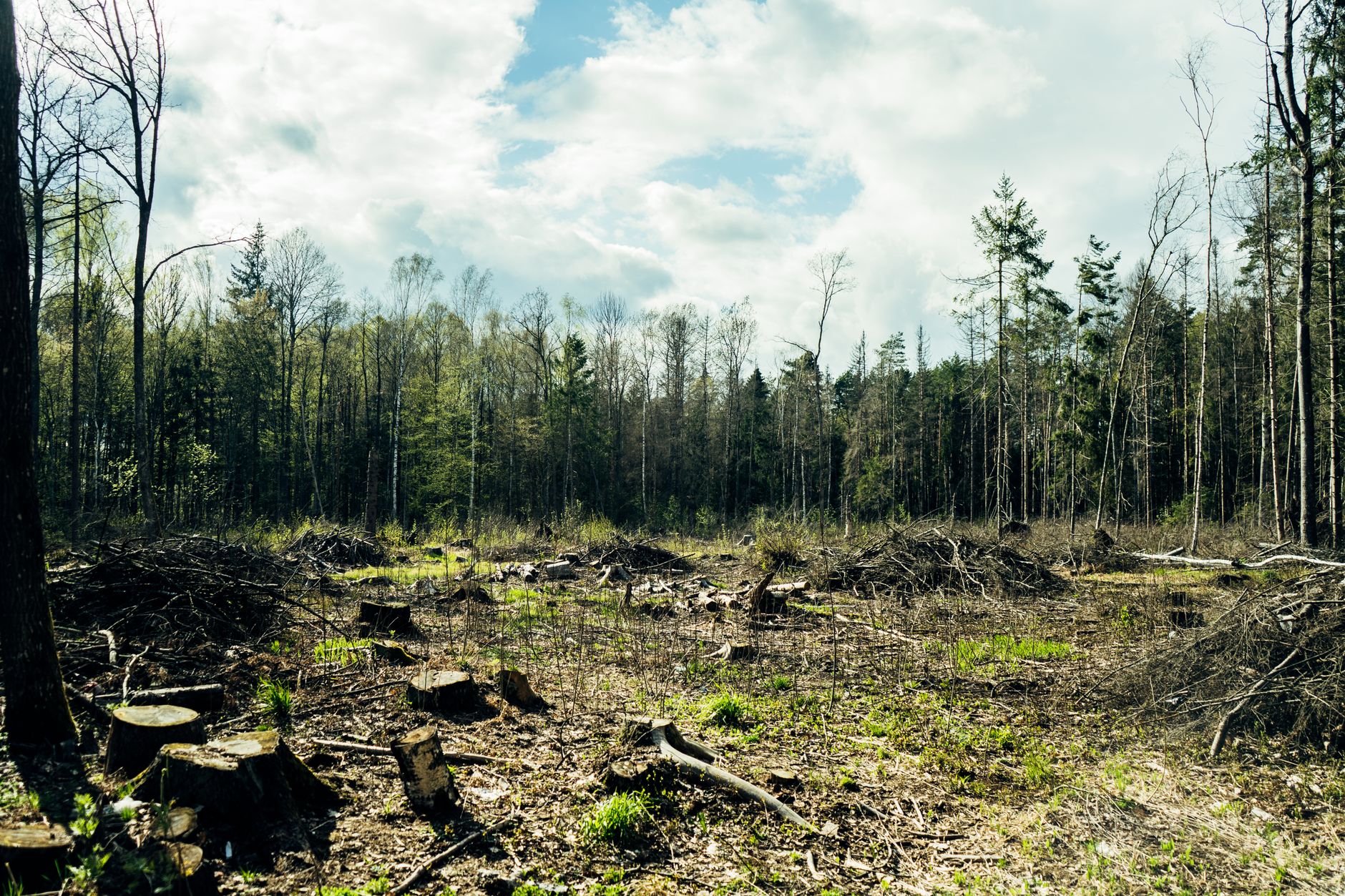 As Wildfires Plague Europe, Scotland Races to Save a Cherished National Park