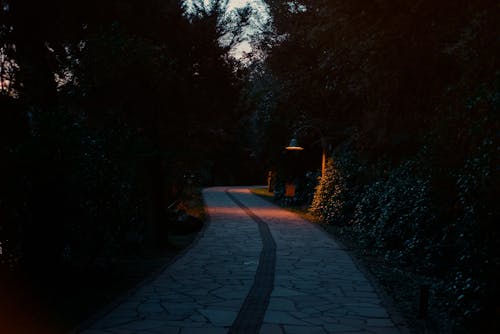 A Footpath in a Park at Dusk