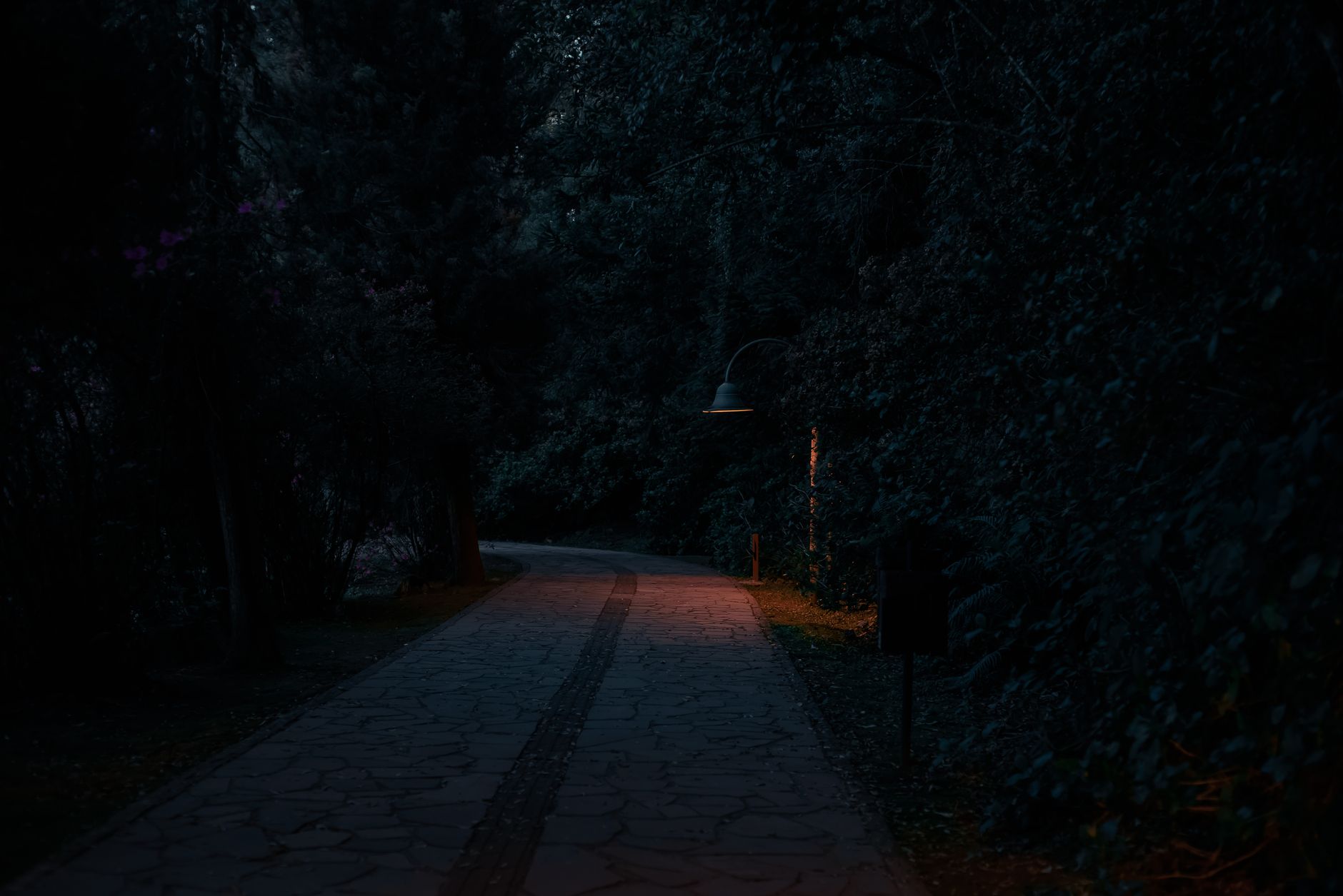 A dimly lit walkway at night, surrounded by trees and illuminated by a solitary street lamp.