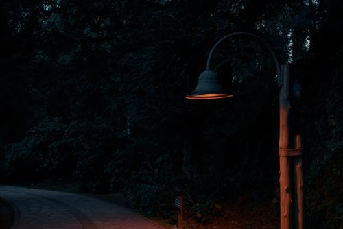 Free Dimly lit pathway in a forest with a warm glowing street lamp at dusk. Stock Photo