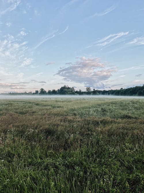 alan, arazi, bulutlar içeren Ücretsiz stok fotoğraf