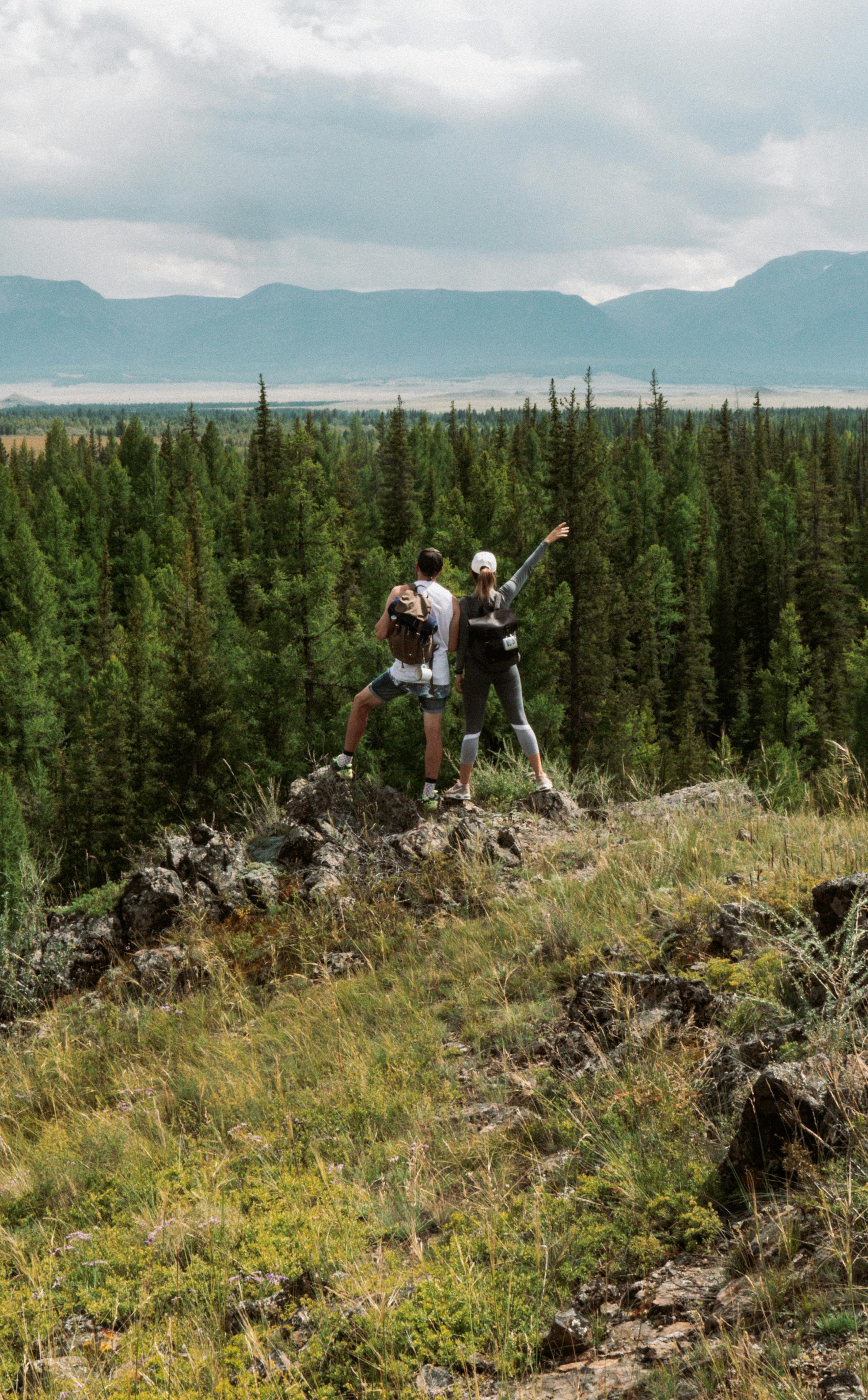 Two hikers enjoying a scenic view from a mountain, surrounded by lush forest.