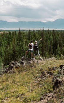 Two hikers enjoying a scenic view from a mountain, surrounded by lush forest.