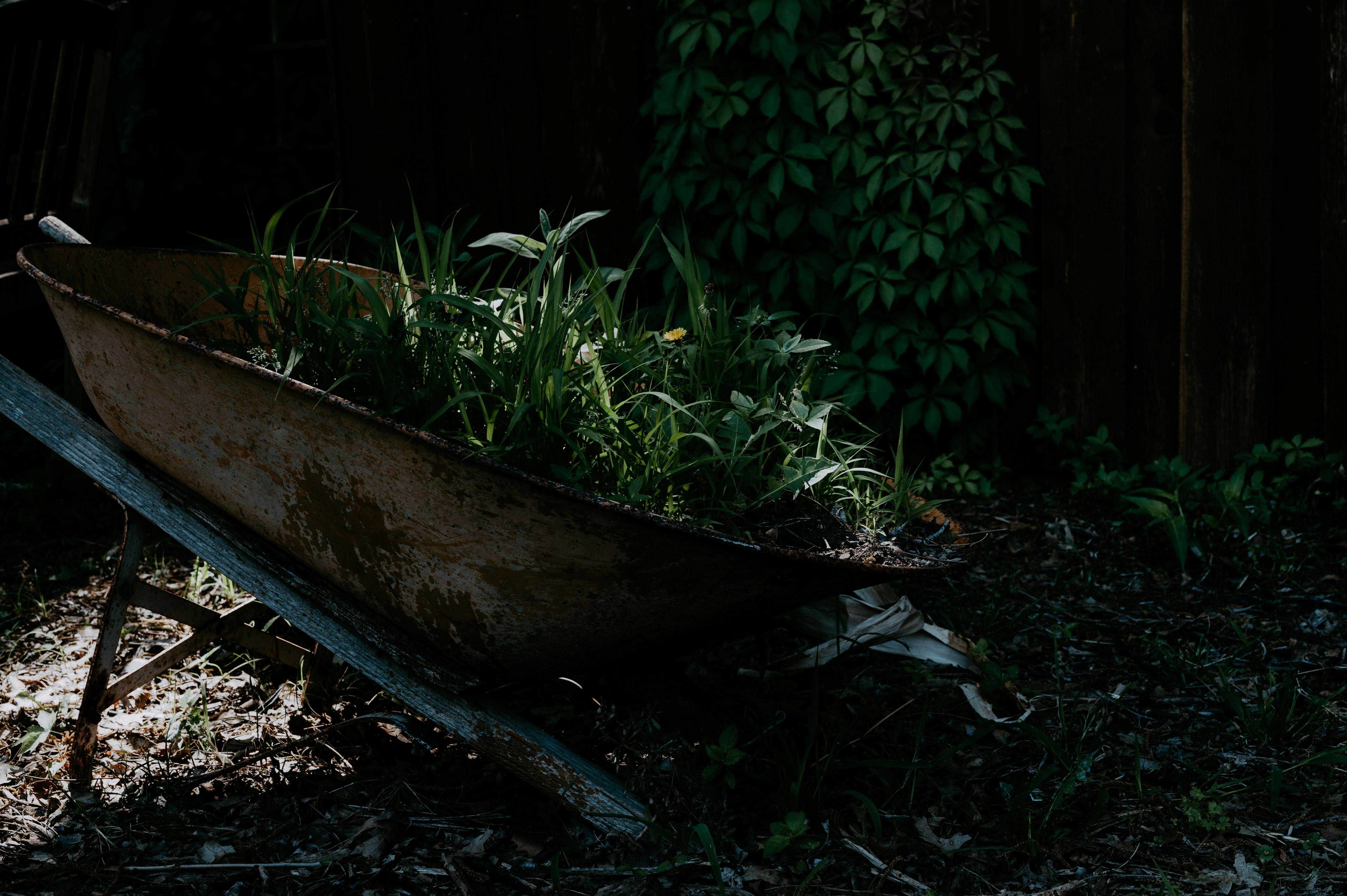 Gardening Doesn’t Have to Be Grueling—15 Clever Gardening Tools Under $30 That Save the Back-Straining Energy — Photo by Alfo