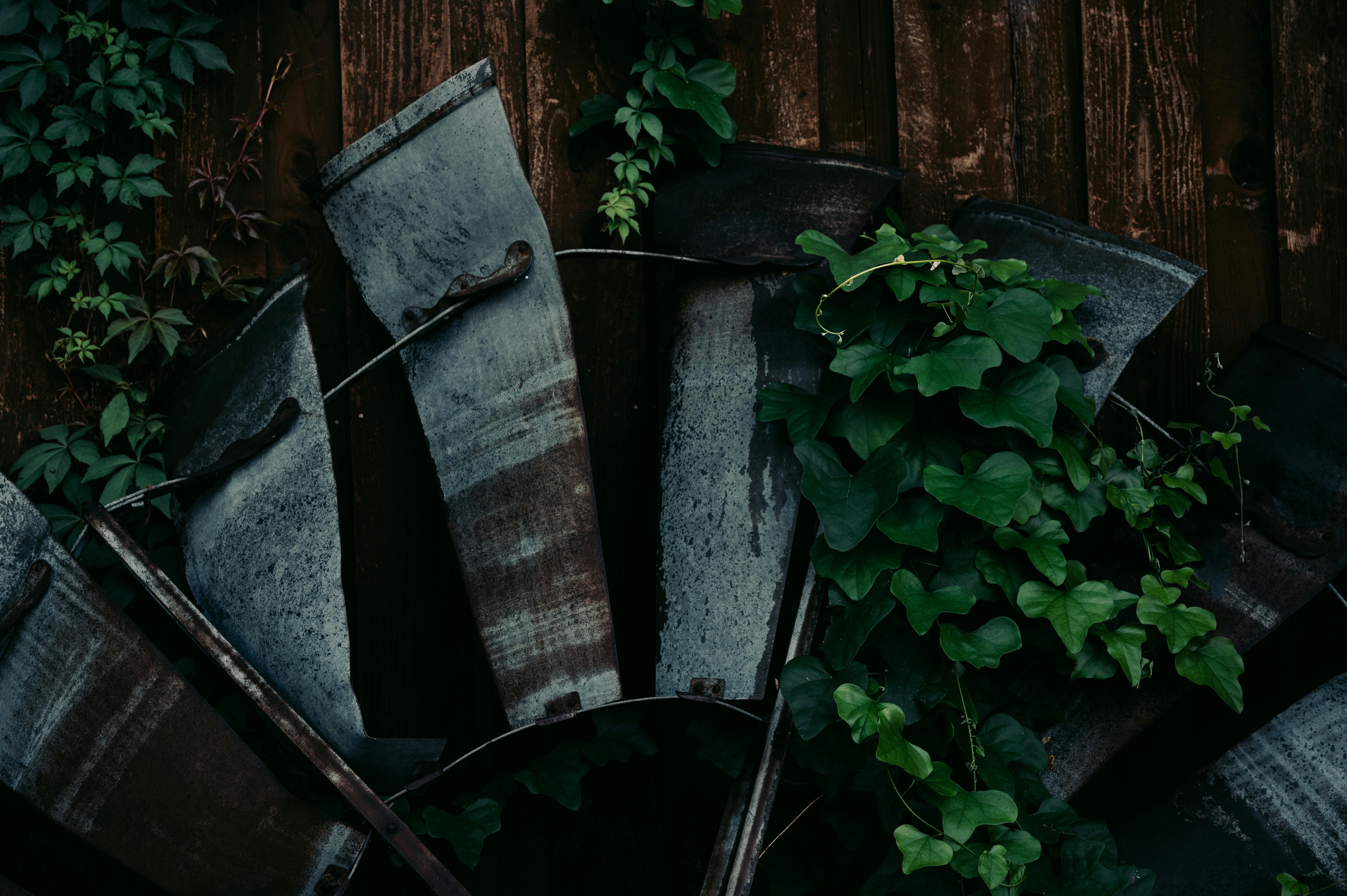 Hidden Nature Insights for Eco-Friendly Urban Architecture