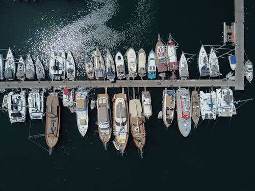 Free Boats Docked at the Marina Stock Photo