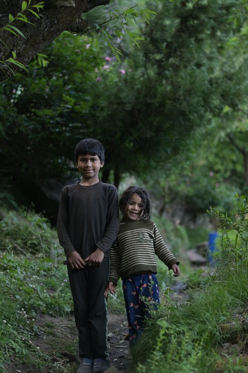 Free Portrait of two smiling siblings standing on a forest path surrounded by greenery. Stock Photo