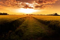 意大利摩德纳麦田上，日落景象令人惊叹，展现了自然的活力与宁静