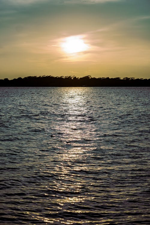 Бесплатное стоковое фото с вертикальный выстрел, водоем, восход