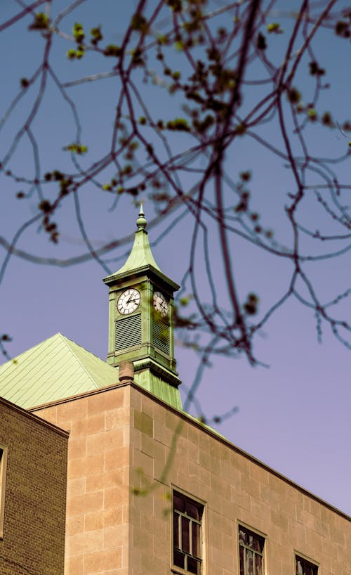 Branch and Tower with Clock behind