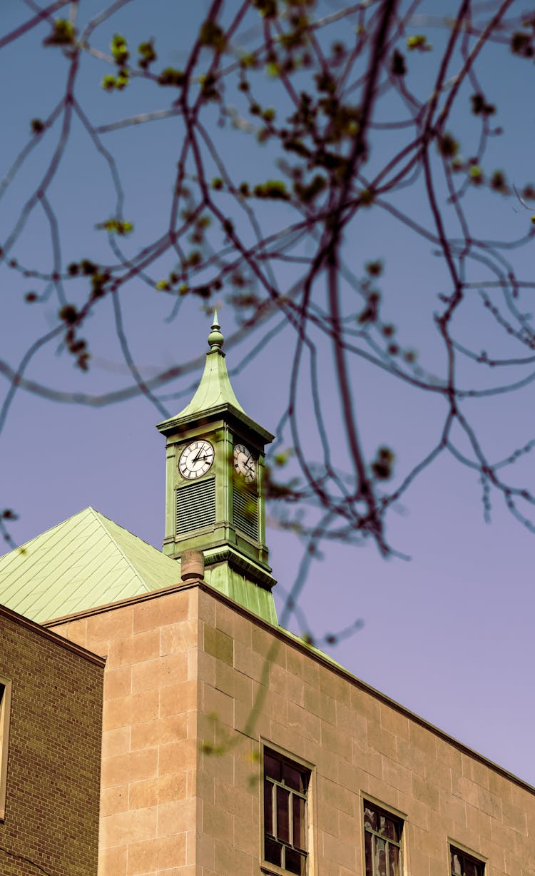 Branch And Tower With Clock Behind