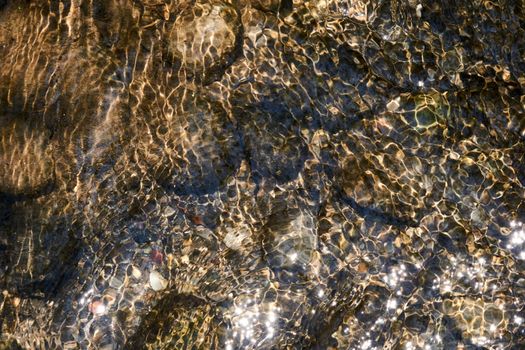 Sunlight creates a shimmering pattern on the clear water over rocks, capturing a tranquil nature scene.